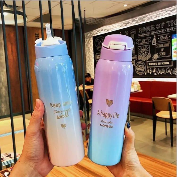 Stainless Steel Sports Thermos & Water Bottle (500ml)